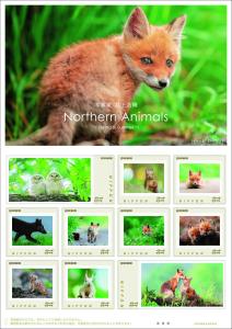 オリジナル フレーム切手セット 「写真家 井上浩輝 Northern Animals ～Spring＆Summer～」の販売開始