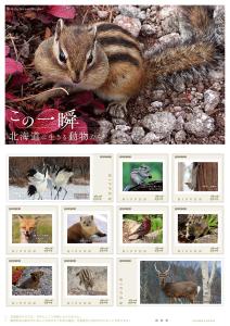 オリジナル フレーム切手セット 「この一瞬 北海道に生きる動物たち」の販売開始