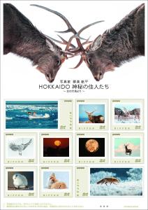 オリジナル フレーム切手 「写真家 柳楽 航平 HOKKAIDO 神秘の住人たち ～北の大地より～」 の販売開始及び贈呈式の開催