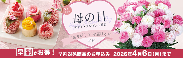 母の日特集2026