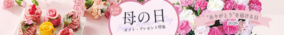 母の日特集2026