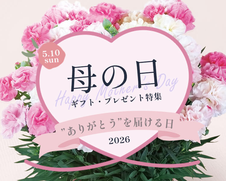 母の日特集2026