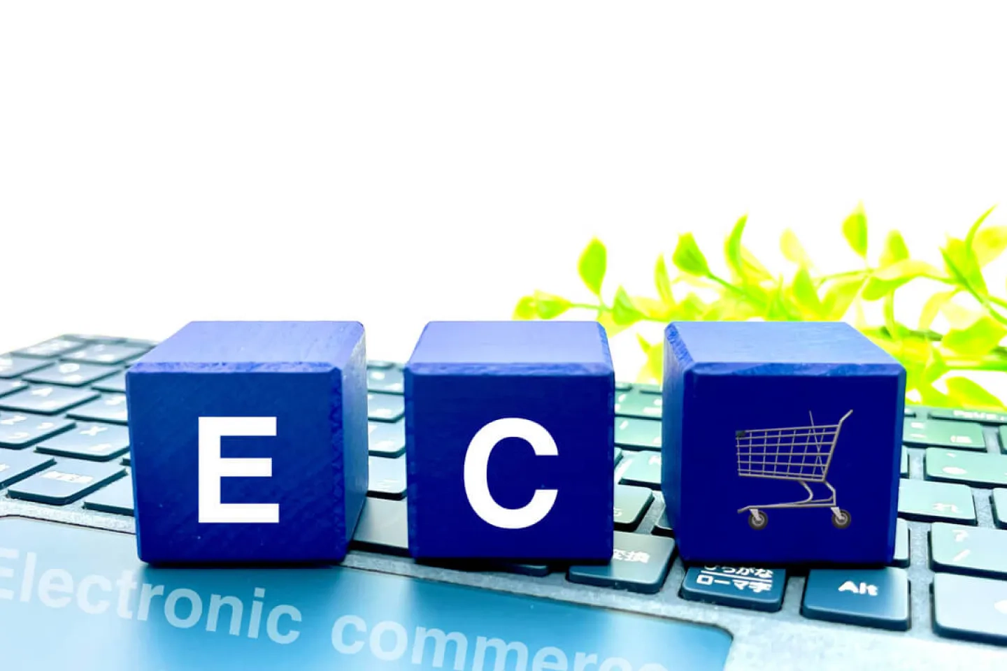 ECサイトの写真