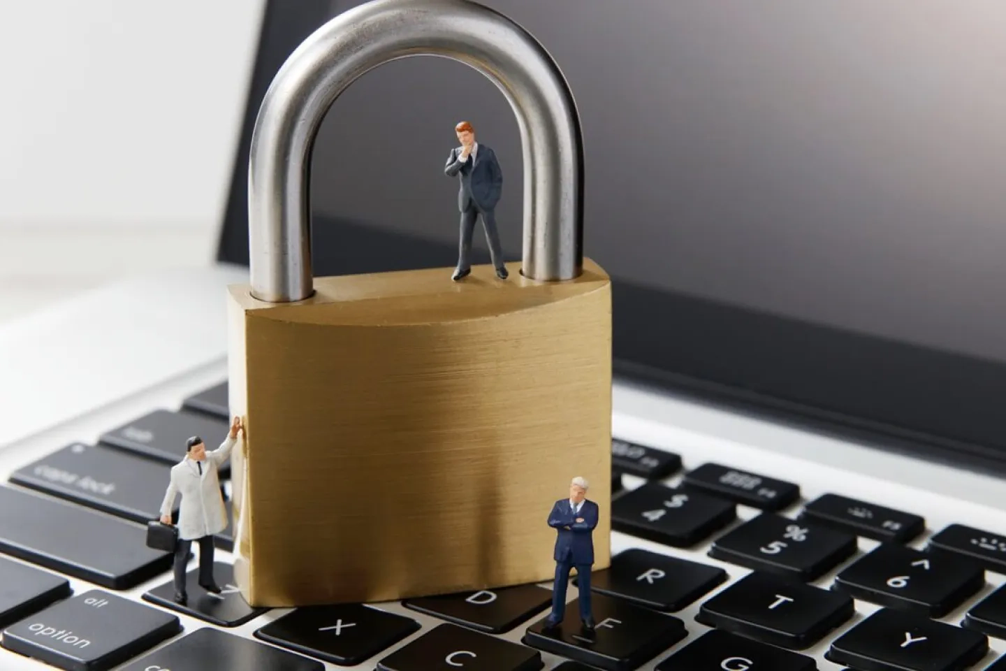 ECサイトの写真