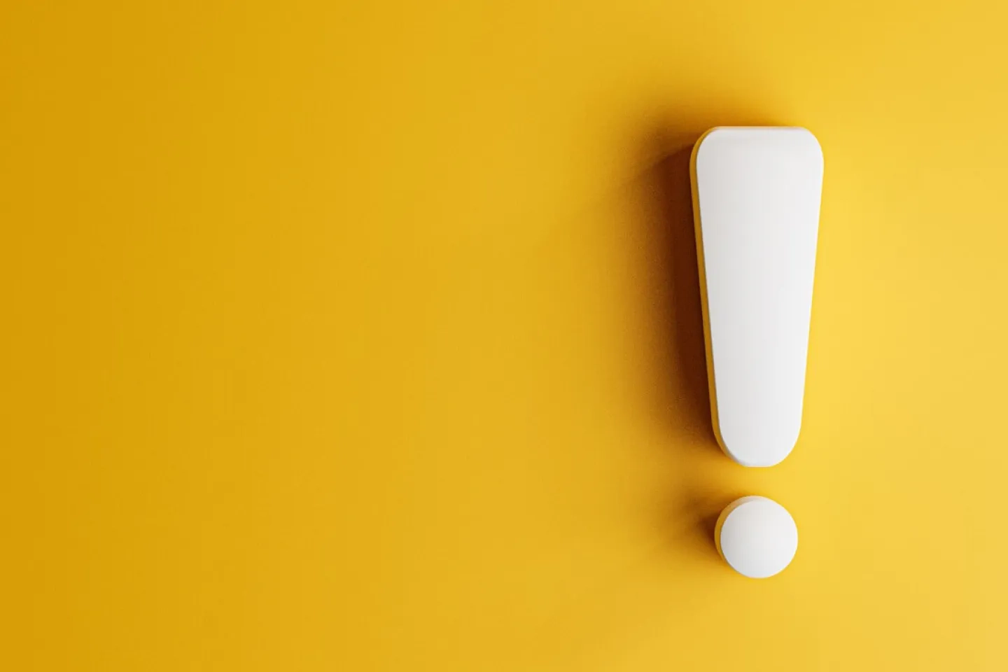 ロスレスブーケの写真