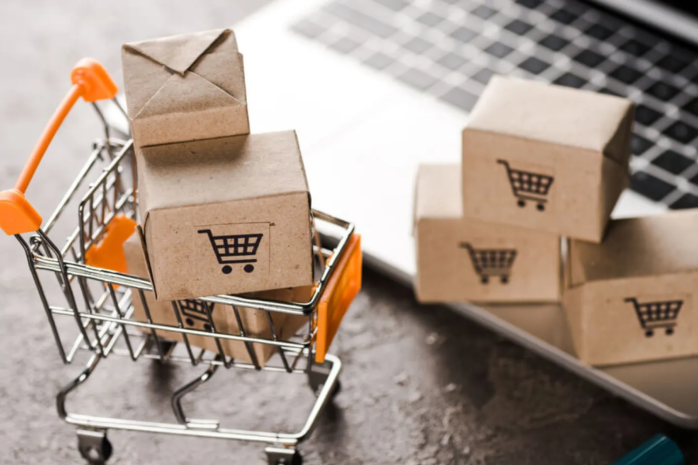 タブレットでデータを確認する人の写真