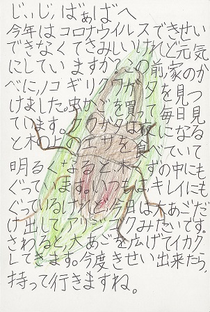 作品の画像