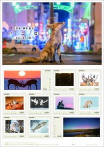 オリジナル フレーム切手 「写真家 柳楽 航平 イコロ~北の大地の宝物~」の販売開始と贈呈式の開催