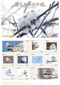 オリジナル フレーム切手セット 「ぼく、シマエナガ。空飛ぶモフモフ白玉だんご」の販売開始