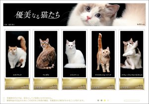 オリジナル フレーム切手「優美なる猫たち」の販売開始