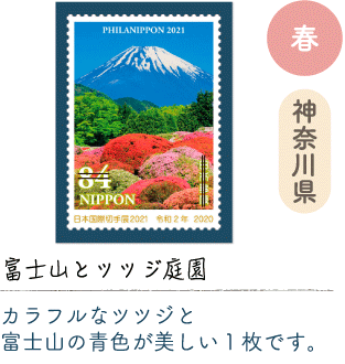 春 神奈川県「富士山とツツジ庭園」カラフルなツツジと富士山の青色が美しい1枚です。