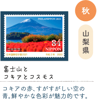 秋 山梨県「富士山とコキアとコスモス」コキアの赤、すがすがしい空の青。鮮やかな色彩が魅力的です。
