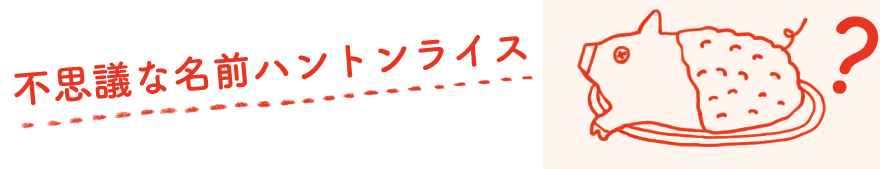 不思議な名前ハントンライス