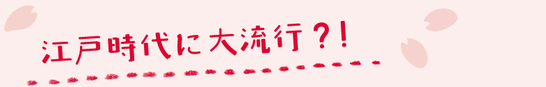江戸時代に大流行？！