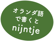 オランダ語で書くとnijntje