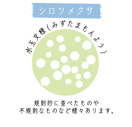 シロツメクサ 水玉文様（みずたまもんよう） 規則的に並べたものや不規則なものなど様々あります。