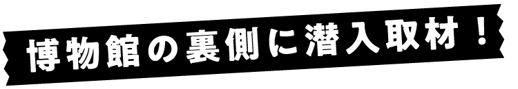 博物館の裏側に潜入取材！