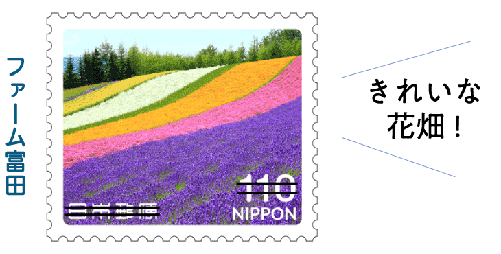 ファーム富田「きれいな花畑！」