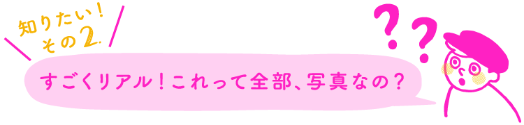 知りたい！その2.すごくリアル！これって全部、写真なの？