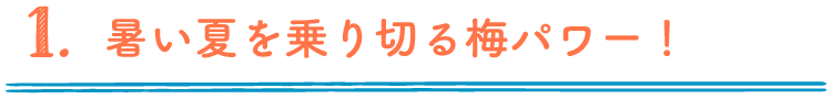 1.暑い夏を乗り切る梅パワー！