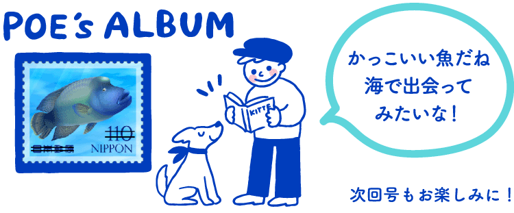 POE's ALBUM「かっこいい魚だね海で出会ってみたいな！」　次回号もお楽しみに！