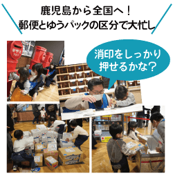 鹿児島から全国へ！郵便とゆうパックの区分で大忙し