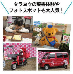 タラヨウの葉書体験やフォトスポットも大人気！