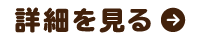 詳細を見る