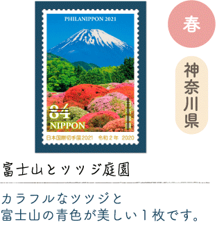 春　神奈川県「富士山とツツジ庭園」カラフルなツツジと富士山の青色が美しい1枚です。