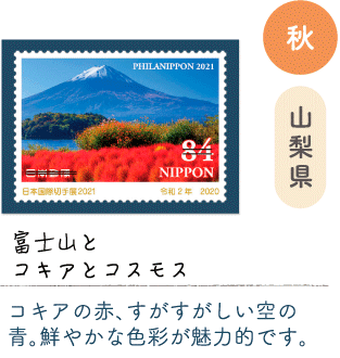 秋　山梨県「富士山とコキアとコスモス」コキアの赤、すがすがしい空の青。鮮やかな色彩が魅力的です。
