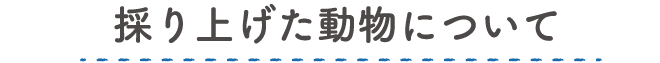 採り上げた動物について