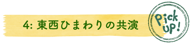 4：東西ひまわりの共演