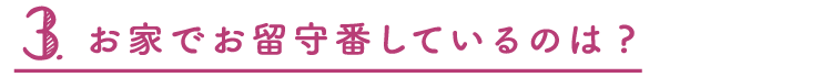 3.お家でお留守番しているのは？