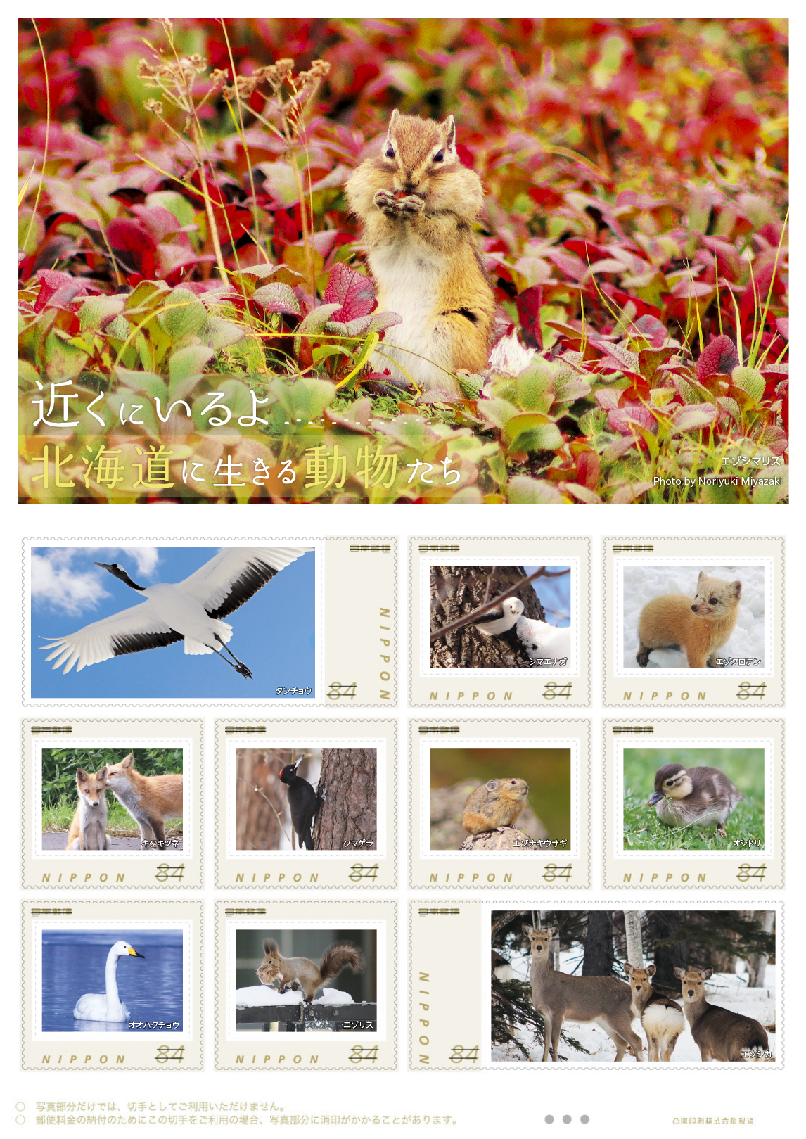 オリジナル フレーム切手セット「近くにいるよ 北海道に生きる動物たち」の販売開始