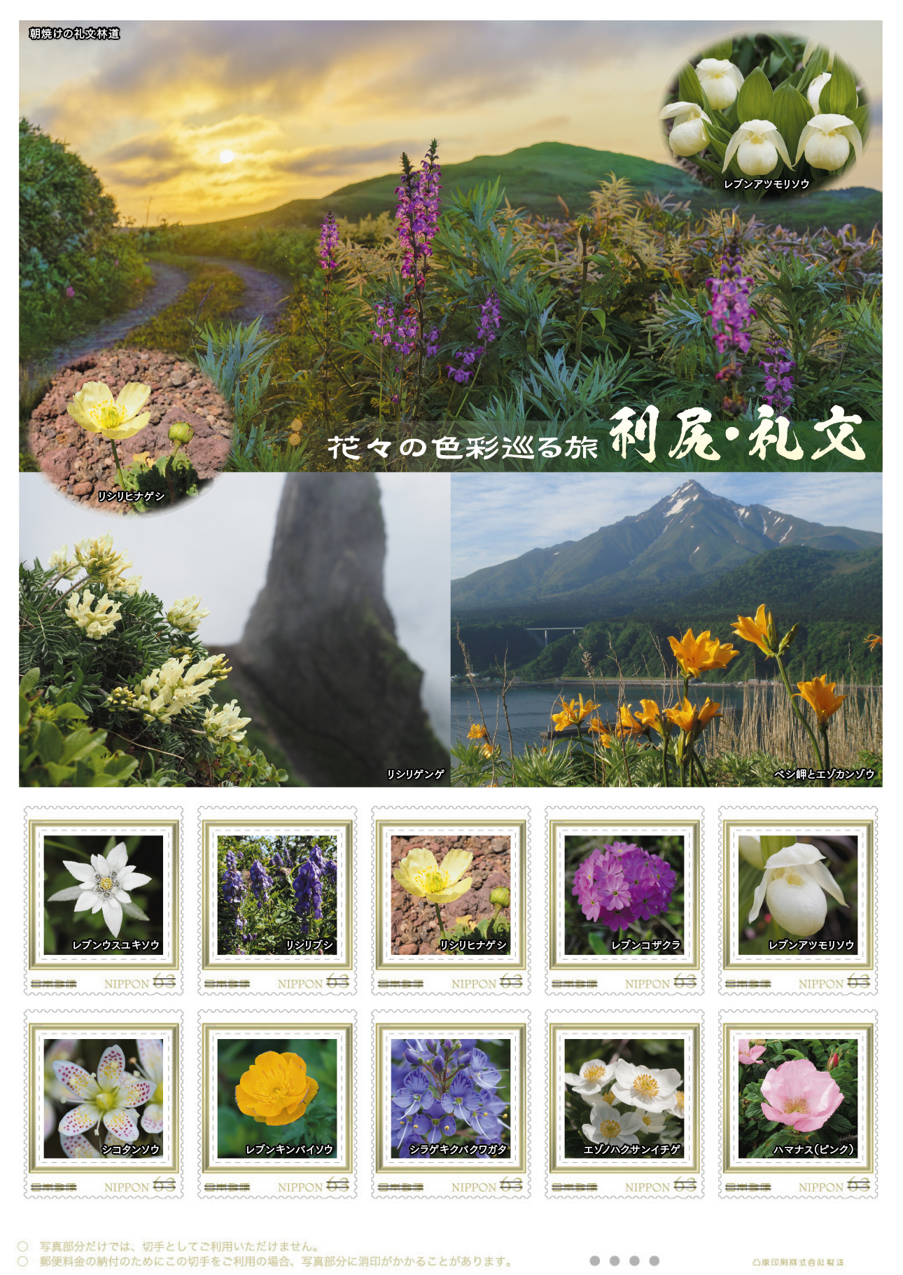 オリジナル フレーム切手「花々の色彩巡る旅　利尻・礼文」の販売開始