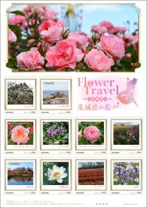 オリジナル フレーム切手「Flower Travel ～花絶景～ 茨城県の花」の販売開始