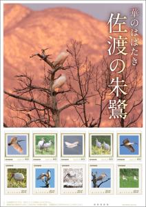 オリジナル フレーム切手「華のはばたき 佐渡の朱鷺」の販売開始