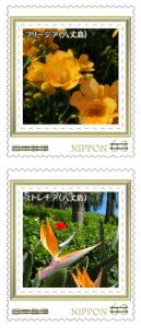 オリジナル フレーム切手セット「東京の島ポストカードセット～八丈島 ②～」の販売開始