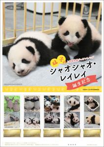 オリジナル フレーム切手セット「上野動物園 ジャイアントパンダ シャオシャオ・レイレイ 誕生記念」の販売開始