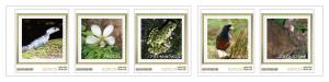 オリジナル フレーム切手セット　「世界自然遺産登録の島　奄美大島・徳之島」の販売開始