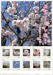 オリジナルフレーム切手「西宮さくら巡り ～西宮生まれの桜～」の販売開始と贈呈式の開催