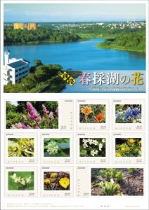 オリジナル フレーム切手 「釧路　春採湖の花～湖畔を彩る可憐な野草たち～」の販売開始と贈呈式の開催