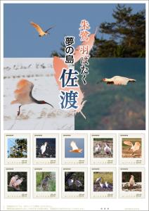 オリジナル フレーム切手「朱鷺 羽ばたく 夢の島 佐渡」 の販売開始
