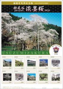 オリジナル フレーム切手「根尾谷　淡墨桜　２０２４」の販売開始