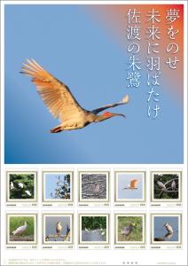オリジナル フレーム切手「夢をのせ　未来に羽ばたけ　佐渡の朱鷺」 の販売開始
