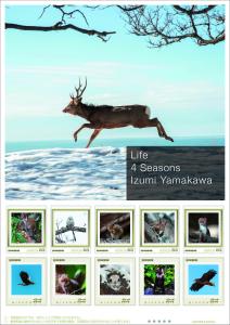 オリジナル フレーム切手「Life 4 Seasons Izumi Yamakawa」の販売開始
