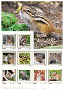 オリジナル フレーム切手セット「北海道ほっこり癒しの動物たち」の販売開始