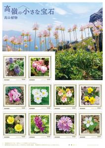 オリジナル フレーム切手セット「高嶺の小さな宝石 高山植物」の販売開始