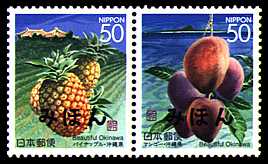 沖縄「夏の果実」