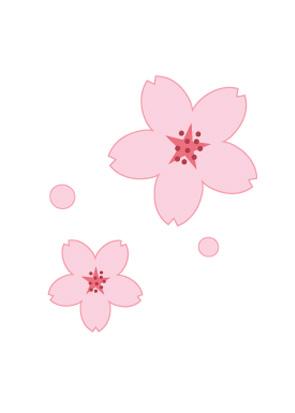 桜の花のイラスト画像